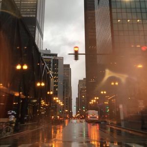 Meet your Posher, Bella